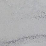 Marmo Mare Venato
